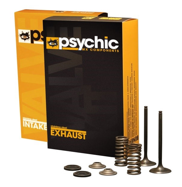 Psychic Inlet Valve Kit Psychic MX includes 2 valves, 2 Springs, Retainers &