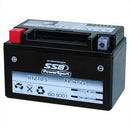 SSB Battery (YTZ10-S) AGM 12V 8.6Ah 210CCA High Performance
