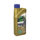 Rock Oil Engine Fully Synthetic Synthesis Motorcycle 10W-40 ROCK OIL 1L 03290/000/010