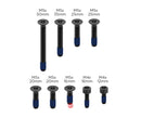 Quad Lock Anti-theft Screw Kit