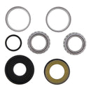 All Balls Racing Steering Bearing Kit 22-1081