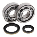 All Balls Engine Main Bearing Kit Suz RM250 96-02