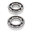 All Balls Engine Main Bearing Kit Suz LTA500F 00-07