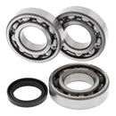 All Balls Engine Main Bearing Kit 24-1089 POLARIS