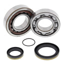 All Balls Engine Main Bearing Kit 24-1098 KTM/HUSABERG