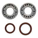 All Balls Racing Crankshaft Bearing Kit (24-1123)