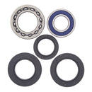 All Balls Wheel Bearing Kit 25-1015