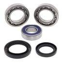 All Balls Wheel Bearing Kit 25-1018