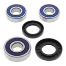 All Balls Wheel Bearing Kit 25-1257