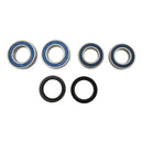 All Balls Racing Wheel Bearing Kit Rear 25-1809