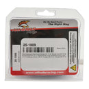 All Balls Racing Wheel Bearing Kit Rear 25-1809