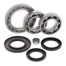 All Balls Diff Bearing Kit 25-2023