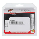 All Balls Racing Swing Arm Bearing Kit 28-0005