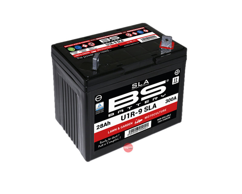 BS BATTERY U1R-9 SLA (12N24-3A)
