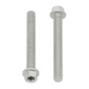 BOLT EURO LGE TORX 6x20mm FLANGE BOLT (Pkt of 10)