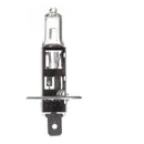 Whites Bulb 12V 55W H/l H1 Halogen Each