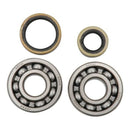 Hot Rods Main Bearing and Seal Kit