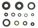 Psychic Mx Engine Oil Seal Set Kawasaki NX-09216