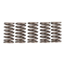 Premier Clutch Springs - Heavy Duty