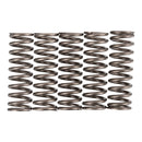 PREMIER CLUTCH SPRINGS - HEAVY DUTY