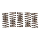 PREMIER CLUTCH SPRINGS - HEAVY DUTY Daytona 675ie 06-