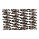PREMIER CLUTCH SPRINGS - HEAVY DUTY
