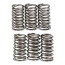 Premier Clutch Springs - Heavy Duty