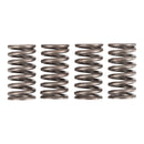 PREMIER CLUTCH SPRINGS - HEAVY DUTY