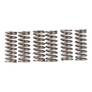 PREMIER CLUTCH SPRINGS - HEAVY DUTY