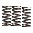 PREMIER CLUTCH SPRINGS - HEAVY DUTY