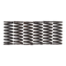 PREMIER CLUTCH SPRINGS - HEAVY DUTY