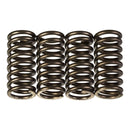 PREMIER CLUTCH SPRINGS - HEAVY DUTY