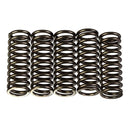 PREMIER CLUTCH SPRINGS - HEAVY DUTY