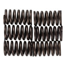 PREMIER CLUTCH SPRINGS - HEAVY DUTY