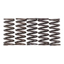 PREMIER CLUTCH SPRINGS - HEAVY DUTY YZ80