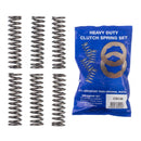 PREMIER CLUTCH SPRINGS - HEAVY DUTY DR250