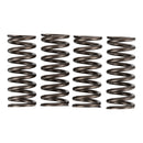 PREMIER CLUTCH SPRINGS - HEAVY DUTY