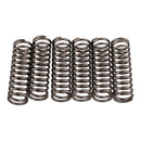 PREMIER CLUTCH SPRINGS - HEAVY DUTY SUZ GS500
