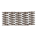PREMIER CLUTCH SPRINGS - HEAVY DUTY