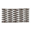 PREMIER CLUTCH SPRINGS - HEAVY DUTY