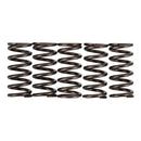 PREMIER CLUTCH SPRINGS - HEAVY DUTY