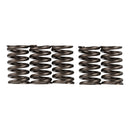PREMIER CLUTCH SPRINGS - H/DUTY TL1000S 97-98