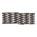 PREMIER CLUTCH SPRINGS - HEAVY DUTY