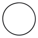Quantum Fuel Systems Pump Tank Seal Gasket