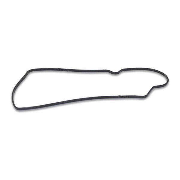 Quantum Fuel Systems Pump Tank Seal Gasket