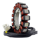 RM Stator Generator Kawasaki KLR650 '11-'18 (RMS010-107602)