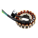 RM Stator Suzuki DRZ400 (RMS010-108299)