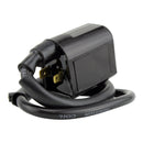 EXT IGN COIL ASSTD POL MODELS RFR FITMENTS (RMS060-104943)