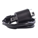 EXTERNAL IGNITION COIL ASSTD HON / KAW 2008-2020 (RM06162)