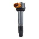 IGNITION STICK COIL ASSTD MODELS RFR FITMEN (RMS260-105821)